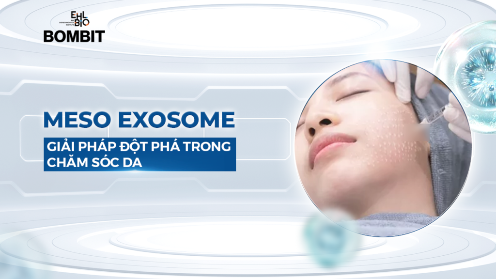 Meso Exosome