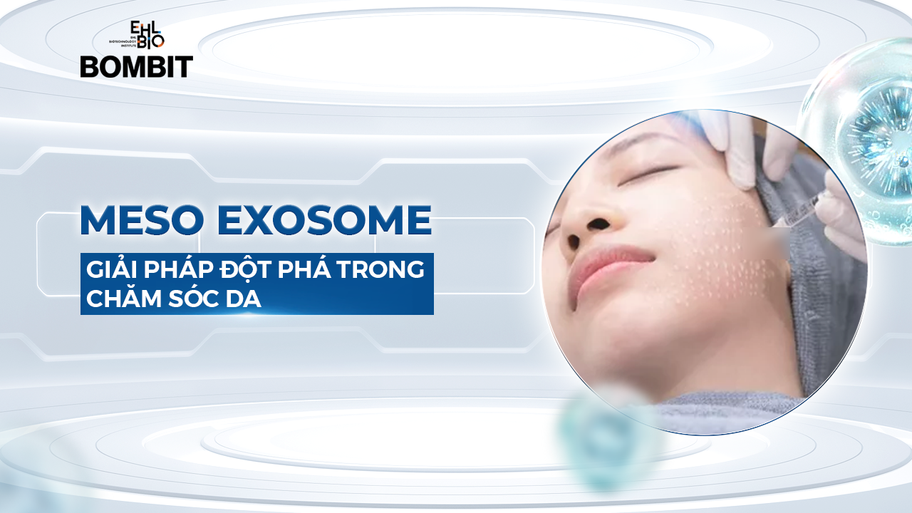 Meso Exosome