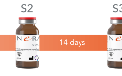 Linerase Collagen Protocol V2 768x155
